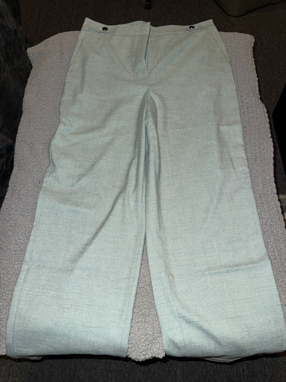 Tailored Wide-Leg Pants in Light Gray